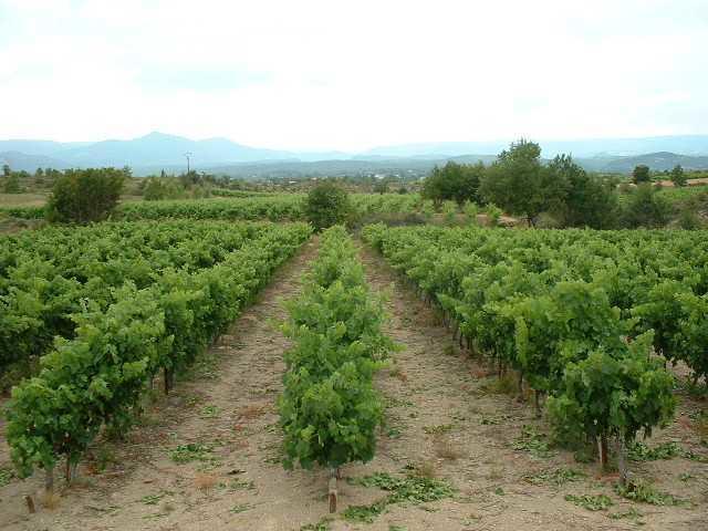 Domaine De Peyre Brune Beaulieu  Dış mekan fotoğraf
